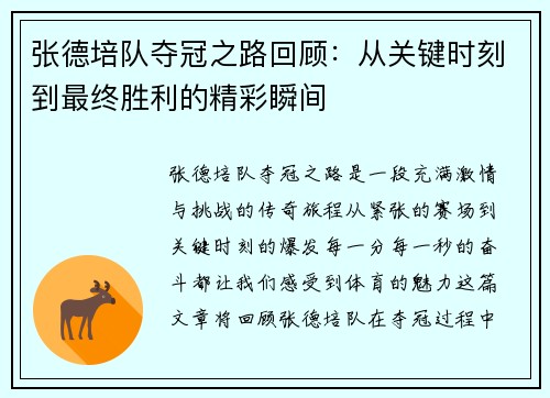 张德培队夺冠之路回顾：从关键时刻到最终胜利的精彩瞬间