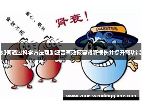 如何通过科学方法帮助波普有效恢复肾脏损伤并提升肾功能