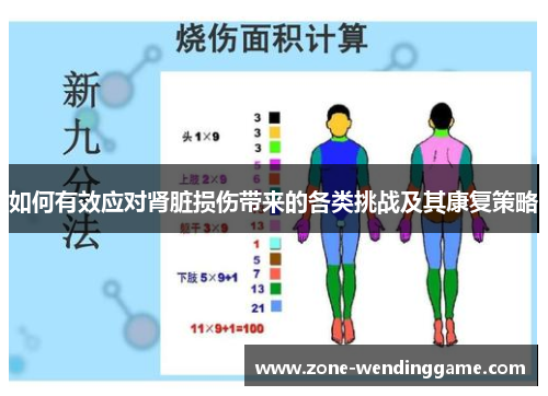 如何有效应对肾脏损伤带来的各类挑战及其康复策略