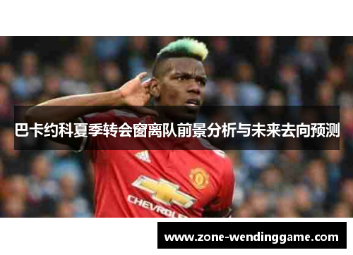 巴卡约科夏季转会窗离队前景分析与未来去向预测